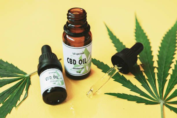 Where Can You Find The Best CBD Oil In Thailand?