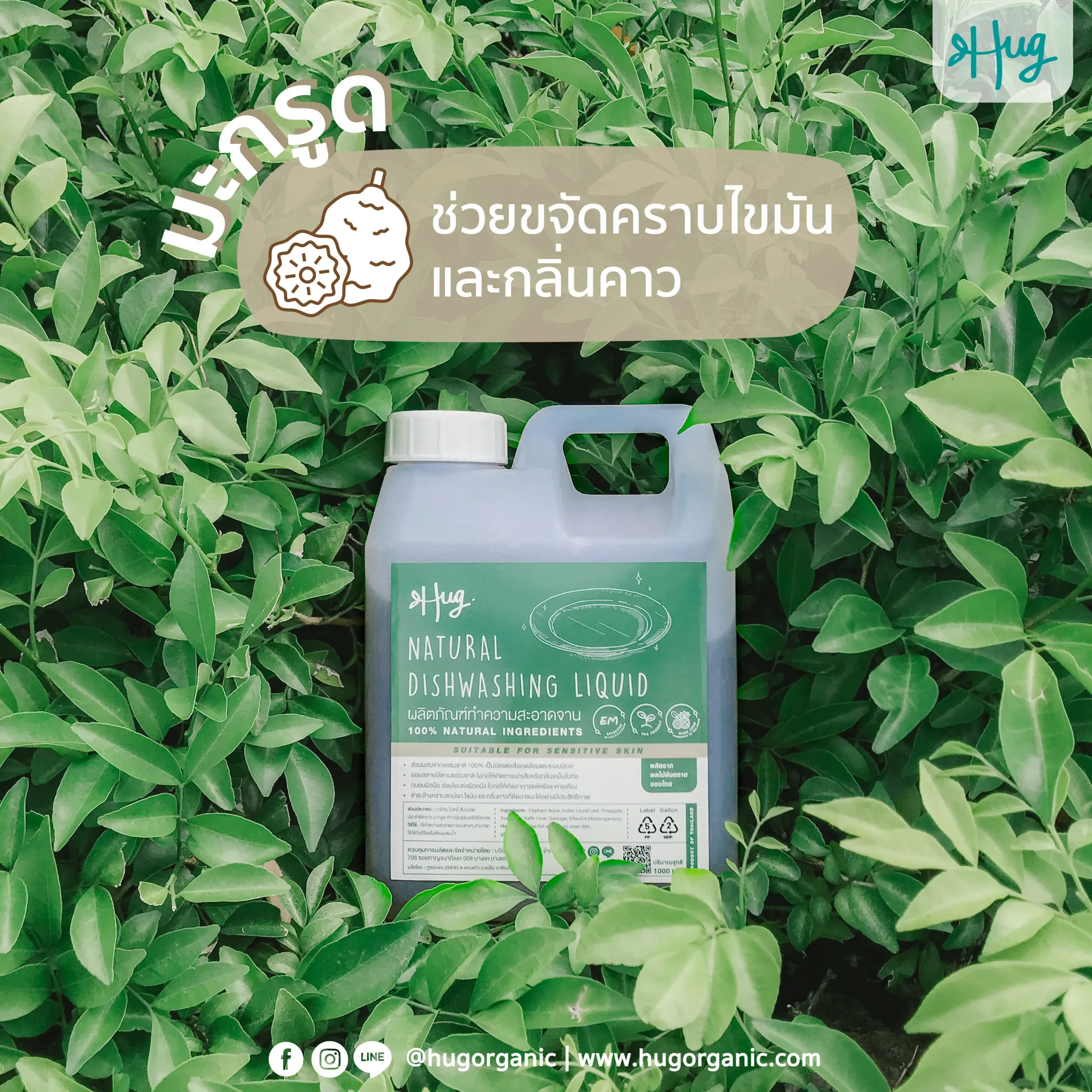info-diswash-ingredients-01-scal.webp
